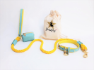 Dog Leash