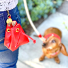 Treat Bag