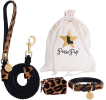 Dog Leash
