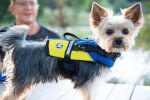 PAWS ABOARD Neoprene Life Jackets