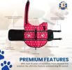 PAWS ABOARD Life Jackets