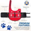 PAWS ABOARD Neoprene Life Jackets