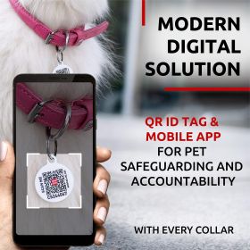 Ultra Soft Rolled Leather Dog Collar for Small Dogs Soft Padded Male and Female Dog Collar (Color: Pink, Size: 10-13 Inch Neck)
