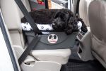 FidoRido Car Seats