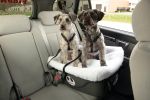 FidoRido Car Seats
