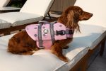 PAWS ABOARD Neoprene Life Jackets